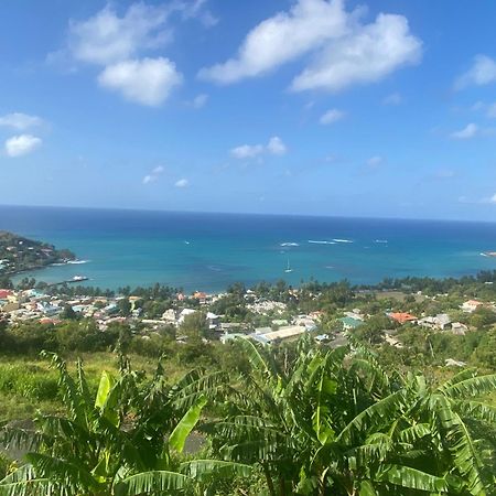 Greenhouse On The Hill, Sea View Studio Apartment Laborie Esterno foto