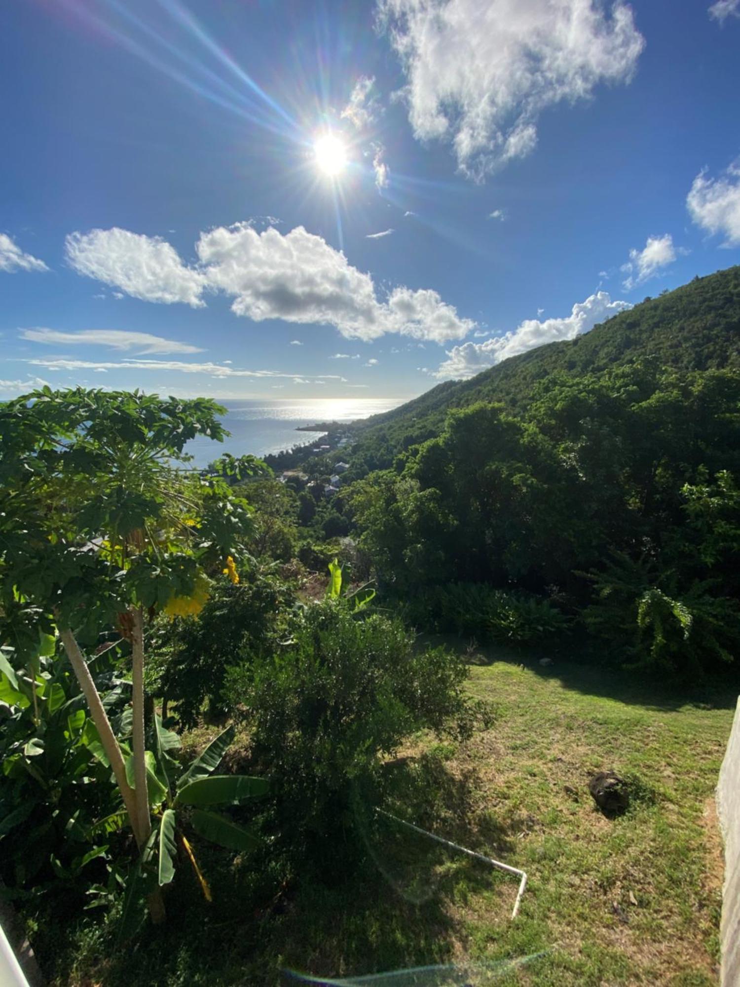 Greenhouse On The Hill, Sea View Studio Apartment Laborie Esterno foto